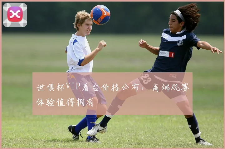 世俱杯VIP看台价格公布，高端观赛体验值得拥有