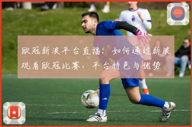 欧冠新浪平台直播：如何通过新浪观看欧冠比赛，平台特色与优势