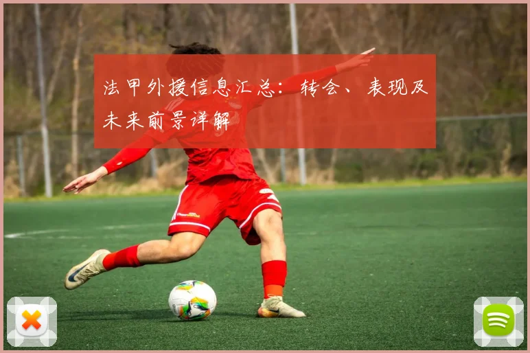 法甲外援信息汇总：转会、表现及未来前景详解