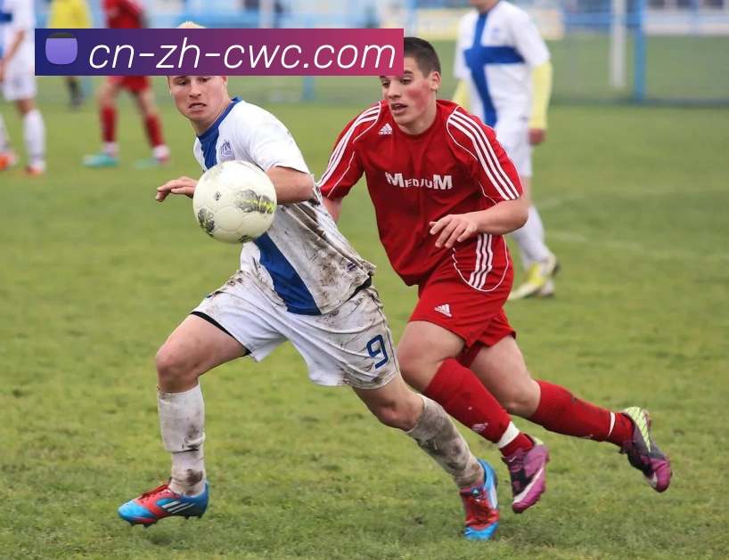 多媒体互动体验